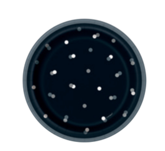 Black Polkadot paper plates