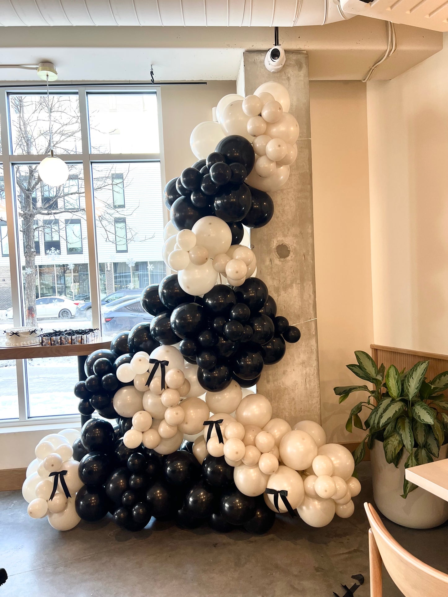 Black and Cream balloon arch