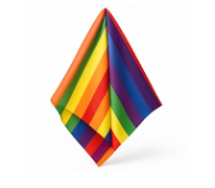 Rainbow Paisley Bandana