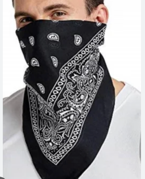 Classic Black Paisley Bandana