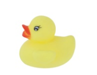 Baby Shower Rubber Duckie